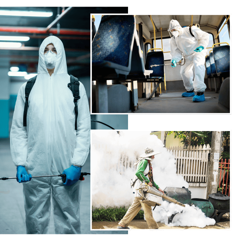 Kietron Infotech pest marketing